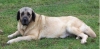 Filename=serena.jpg
Filesize=56KiB
Dimensions=800x394
Date added=%721 %08, %2007 serena.jpg