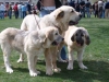 Filename=HPIM1109.jpg
Filesize=47KiB
Dimensions=640x480
Date added=%887 %02, %2006 HPIM1109.jpg