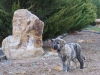 Filename=30_Roa_de_Fuente_Mimbre.jpg
Filesize=326KiB
Dimensions=1000x752
Date added=%757 %16, %2009 30_Roa_de_Fuente_Mimbre.jpg