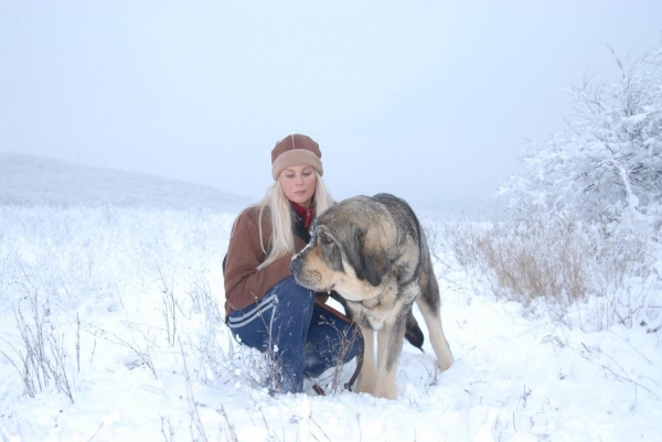 Sorolla de Agostadero with owner
Keywords: snow nieve