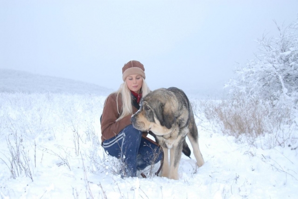 Sorolla de Agostadero with owner
Keywords: snow nieve