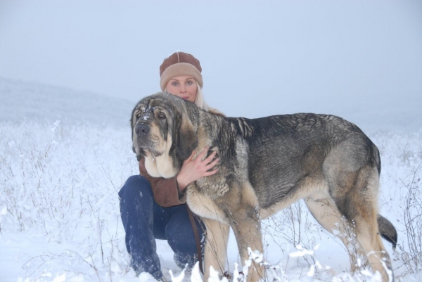 Sorolla de Agostadero with owner
Keywords: snow nieve