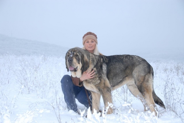 Sorolla de Agostadero with owner
Winter in new year 2009 
Keywords: snow nieve