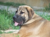 Filename=Arrasar_2.JPG
Filesize=159KiB
Dimensions=640x480
Date added=%523 %30, %2006 Arrasar_2.JPG