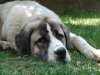 Filename=DSC01777.JPG
Filesize=118KiB
Dimensions=800x600
Date added=%305 %28, %2006 DSC01777.JPG