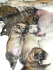 Filename=,a.jpg
Filesize=388KiB
Dimensions=600x800
Date added=%329 %27, %2010 ,a.jpg