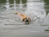 Filename=,f.jpg
Filesize=421KiB
Dimensions=800x600
Date added=%363 %12, %2010 ,f.jpg