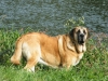 Filename=-1.jpg
Filesize=216KiB
Dimensions=600x450
Date added=%363 %12, %2010 -1.jpg