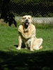 Filename=-clea.jpg
Filesize=333KiB
Dimensions=600x800
Date added=%361 %12, %2010 -clea.jpg