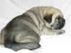 Filename=-female1.jpg
Filesize=181KiB
Dimensions=800x600
Date added=%508 %23, %2009 -female1.jpg