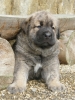Filename=Jumbo.jpg
Filesize=389KiB
Dimensions=600x800
Date added=%461 %06, %2009 Jumbo.jpg
