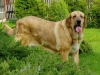 Filename=a-Baknaid.jpg
Filesize=41KiB
Dimensions=450x338
Date added=%294 %07, %2006 a-Baknaid.jpg