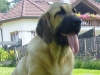 Filename=a-Feimi_6m1.jpg
Filesize=113KiB
Dimensions=450x338
Date added=%341 %07, %2006 a-Feimi_6m1.jpg