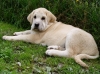 Filename=a-Gia.jpg
Filesize=165KiB
Dimensions=450x337
Date added=%643 %06, %2006 a-Gia.jpg