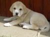 Filename=a-Gia_8t.jpg
Filesize=96KiB
Dimensions=450x337
Date added=%321 %07, %2006 a-Gia_8t.jpg