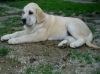 Filename=a-Gia_9.jpg
Filesize=111KiB
Dimensions=450x337
Date added=%368 %07, %2006 a-Gia_9.jpg