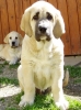 Filename=a-Hector+Gia.jpg
Filesize=193KiB
Dimensions=450x602
Date added=%324 %07, %2006 a-Hector+Gia.jpg