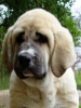 Filename=a-Hector_8.jpg
Filesize=142KiB
Dimensions=450x599
Date added=%658 %06, %2006 a-Hector_8.jpg