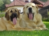 Filename=a-Sultan+Feimi_5.jpg
Filesize=152KiB
Dimensions=500x375
Date added=%370 %07, %2006 a-Sultan+Feimi_5.jpg