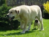 Filename=a-Sultan_+_Pegy.jpg
Filesize=165KiB
Dimensions=500x375
Date added=%336 %07, %2006 a-Sultan_+_Pegy.jpg