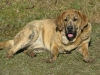 Filename=a-chany.jpg
Filesize=65KiB
Dimensions=600x450
Date added=%891 %30, %2008 a-chany.jpg