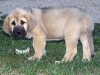 Filename=a-charley-6t.jpg
Filesize=51KiB
Dimensions=600x450
Date added=%253 %11, %2008 a-charley-6t.jpg