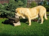Filename=a-clea+monty1.jpg
Filesize=184KiB
Dimensions=450x337
Date added=%340 %07, %2006 a-clea+monty1.jpg