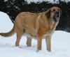 Filename=a-feimi,a.jpg
Filesize=174KiB
Dimensions=600x492
Date added=%496 %06, %2010 a-feimi,a.jpg