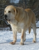 Filename=a-gia,1.jpg
Filesize=227KiB
Dimensions=600x758
Date added=%474 %21, %2010 a-gia,1.jpg
