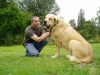 Filename=a-sultan+helge2.jpg
Filesize=54KiB
Dimensions=600x450
Date added=%001 %05, %2008 a-sultan+helge2.jpg