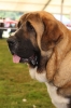 Filename=aro.JPG
Filesize=49KiB
Dimensions=427x640
Date added=%324 %22, %2009 aro.JPG