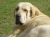 Filename=clea.jpg
Filesize=100KiB
Dimensions=450x337
Date added=%357 %07, %2006 clea.jpg