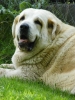 Filename=gia.jpg
Filesize=328KiB
Dimensions=600x800
Date added=%385 %01, %2009 gia.jpg