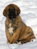 Filename=lili,2.jpg
Filesize=273KiB
Dimensions=600x800
Date added=%673 %20, %2010 lili,2.jpg