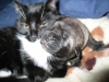 Filename=1.JPG
Filesize=57KiB
Dimensions=800x600
Date added=%626 %01, %2007 1.JPG