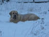 Filename=listopad_2007_004.jpg
Filesize=79KiB
Dimensions=640x480
Date added=%464 %27, %2007 listopad_2007_004.jpg