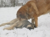 Filename=listopad_2007_009.jpg
Filesize=63KiB
Dimensions=640x480
Date added=%464 %27, %2007 listopad_2007_009.jpg