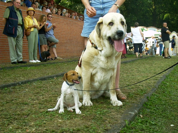 Betty and a little Dog
Betty de Valdejera
