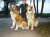 Filename=03_01_04_001.jpg
Filesize=63KiB
Dimensions=640x480
Date added=%961 %10, %2006 03_01_04_001.jpg
