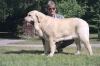 Filename=Betty12.jpg
Filesize=70KiB
Dimensions=640x427
Date added=%964 %10, %2006 Betty12.jpg