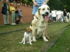 Filename=Betty_004.jpg
Filesize=210KiB
Dimensions=800x600
Date added=%942 %10, %2006 Betty_004.jpg