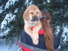 Filename=Donya4_1_030109.jpg
Filesize=120KiB
Dimensions=600x450
Date added=%969 %10, %2006 Donya4_1_030109.jpg