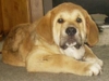 Filename=Duke_5_2_03_017.jpg
Filesize=10KiB
Dimensions=320x240
Date added=%957 %10, %2006 Duke_5_2_03_017.jpg