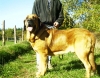 Filename=Sancho_14_10__009.jpg
Filesize=112KiB
Dimensions=690x540
Date added=%951 %10, %2006 Sancho_14_10__009.jpg