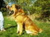 Filename=Sancho_14_10__014.jpg
Filesize=113KiB
Dimensions=640x480
Date added=%971 %10, %2006 Sancho_14_10__014.jpg