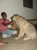 Filename=3mois.jpg
Filesize=549KiB
Dimensions=960x1280
Date added=%960 %11, %2006 3mois.jpg
