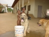 Filename=5mois2.JPG
Filesize=212KiB
Dimensions=1280x960
Date added=%959 %11, %2006 5mois2.JPG