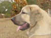 Filename=5mois4.JPG
Filesize=212KiB
Dimensions=1280x960
Date added=%968 %11, %2006 5mois4.JPG
