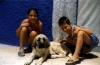 Filename=SYRA_3_MESES_%282%29.jpg
Filesize=101KiB
Dimensions=1048x687
Date added=%051 %12, %2006 SYRA_3_MESES_%282%29.jpg