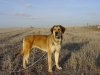 Filename=Yaiza.jpg
Filesize=146KiB
Dimensions=1200x900
Date added=%736 %06, %2008 Yaiza.jpg